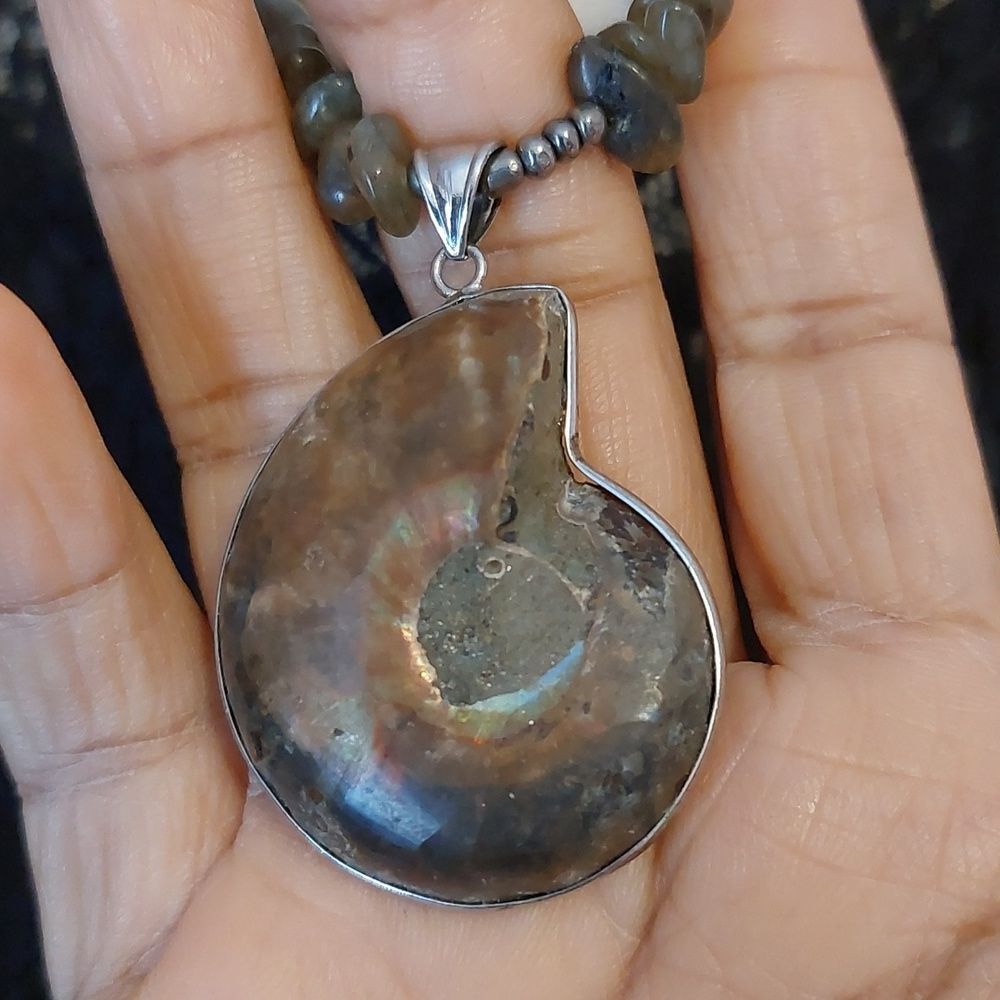Ammonite Fossil Flashing Labradorite And Ancient … - image 4